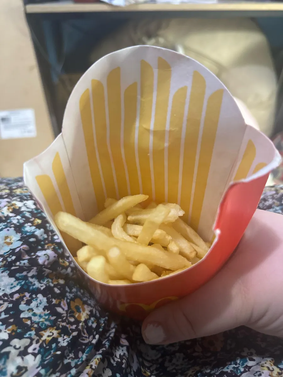 McDonald's Large Fries