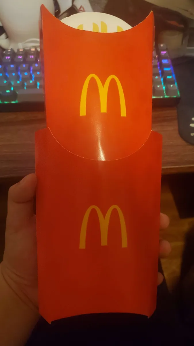 McDonald's Large French Fries