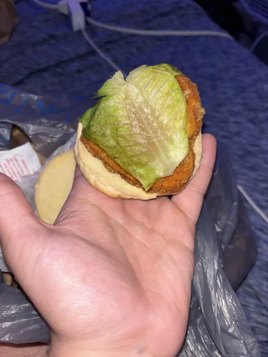 Wendy's Crispy Chicken Sandwich