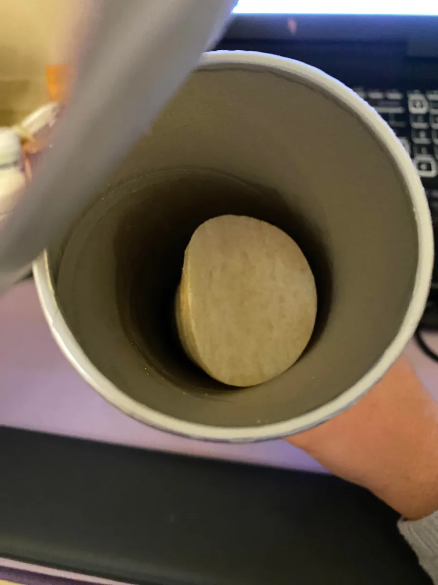 Pringles Pringles
