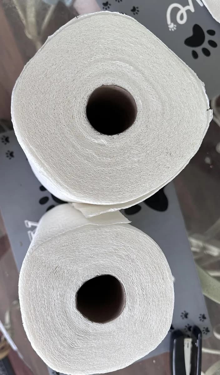 Bounty Paper Towel Roll