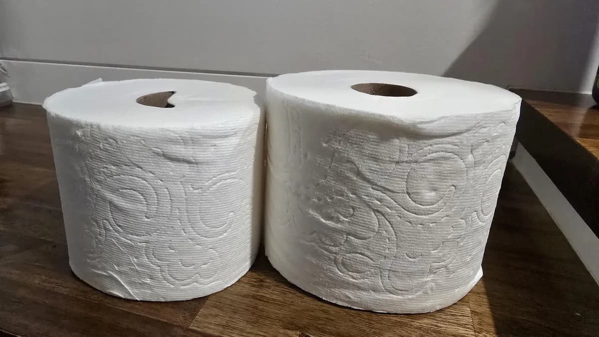 Charmin Mega Rolls