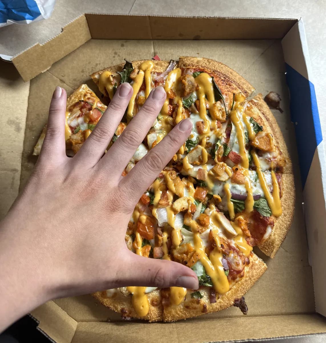 Domino's Large Pizza
